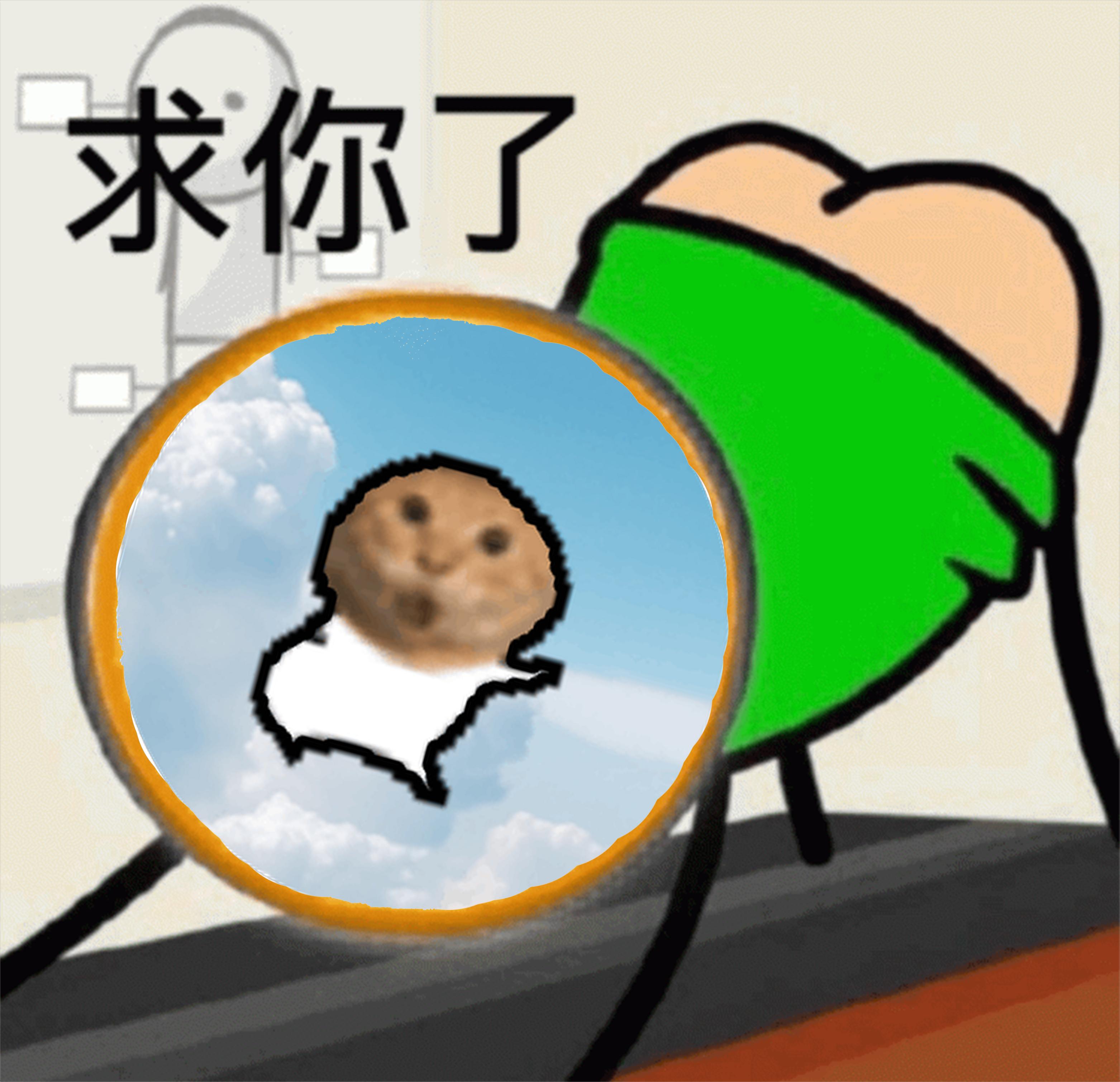 meme begged_me